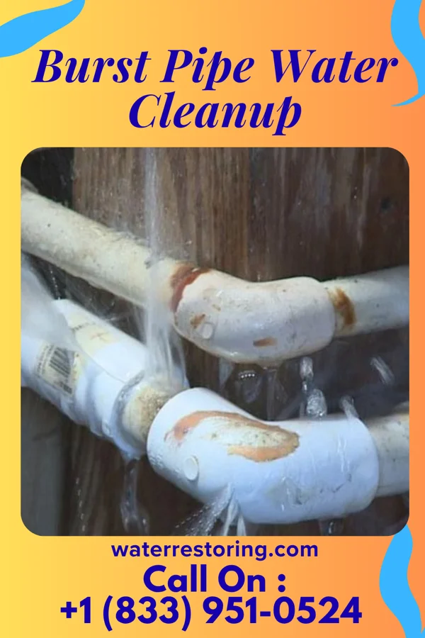 Burst Pipe Water Cleanup in Lowes Island, VA