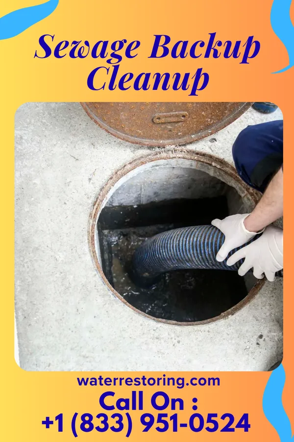 Sewage Backup Cleanup in Lowes Island, VA