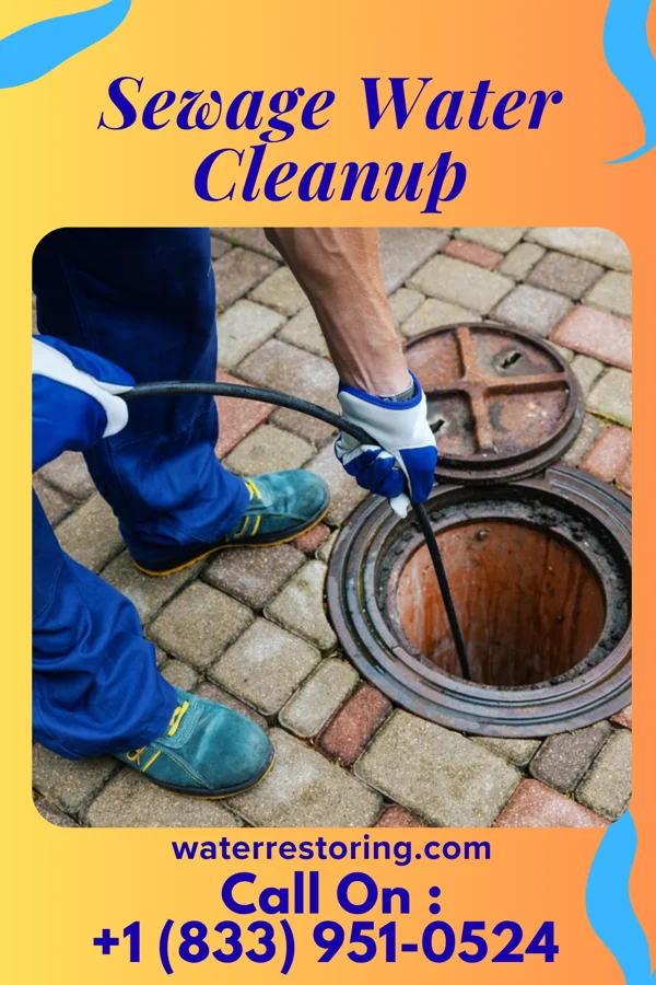 Sewage Water Cleanup in Lowes Island, VA